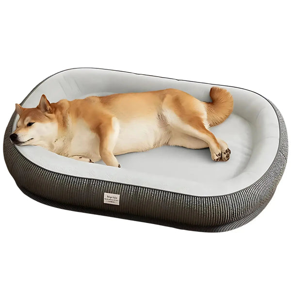 3D Memory Foam Dog Bed - DreammyDoggie