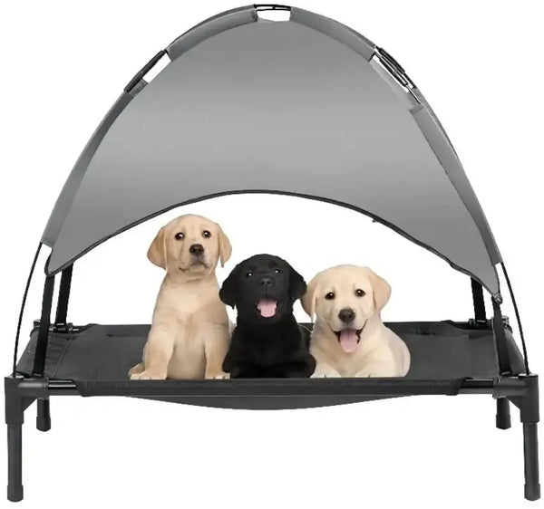 Outdoor Comfort Elevated Cooling Dog Bed DreammyDoggie