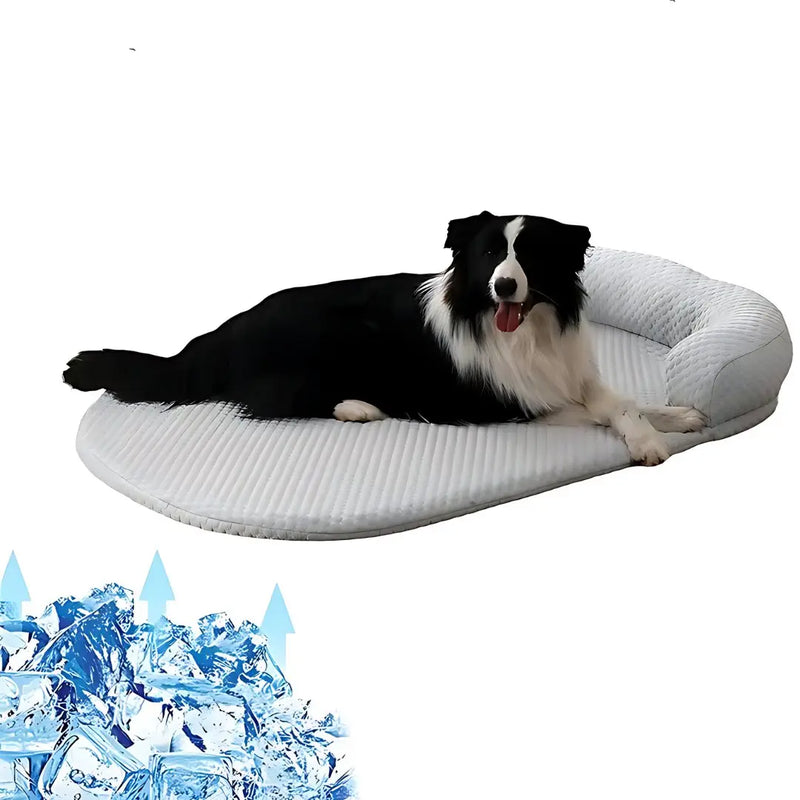 Cooling Dog Bed Summer - DreammyDoggie