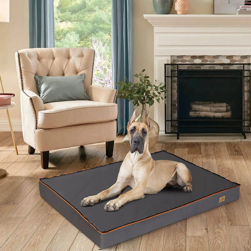 Extra Large Orthopedic Dog Bed - DreammyDoggie