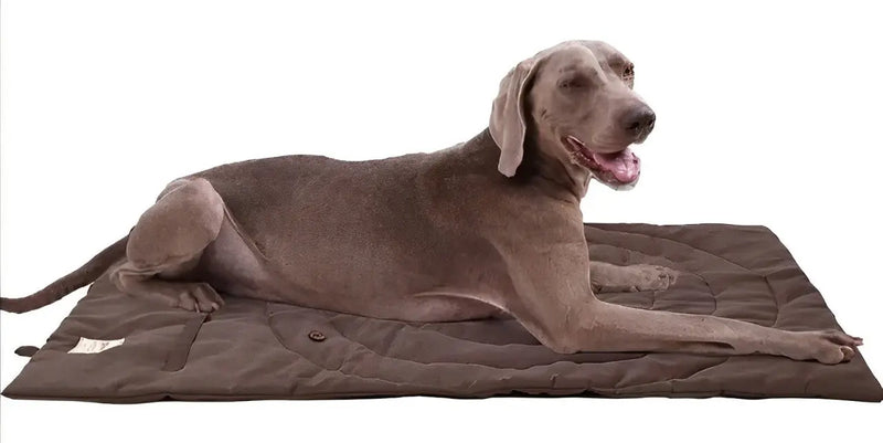 Foldable Pet Dog Waterproof Mat - DreammyDoggie