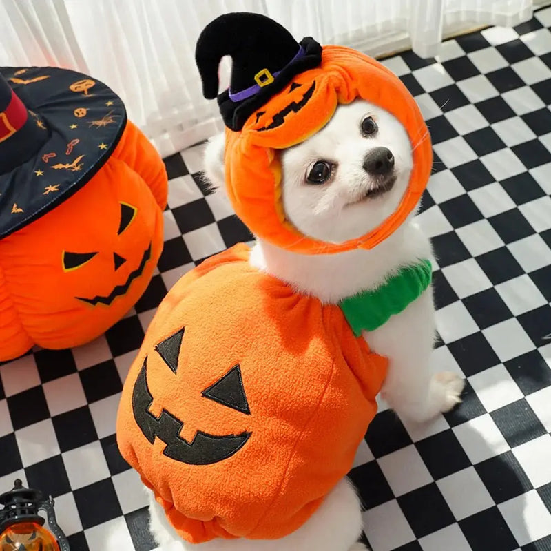 Halloween Costumes Pumpkin Cute Small Dogs Pet - DreammyDoggie