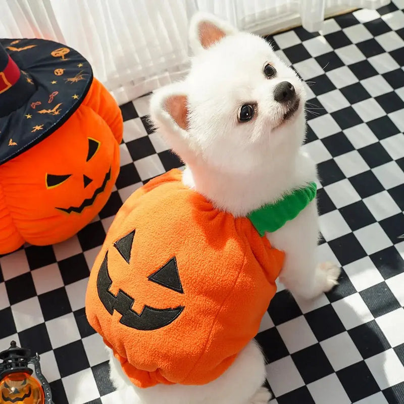 Halloween Costumes Pumpkin Cute Small Dogs Pet - DreammyDoggie