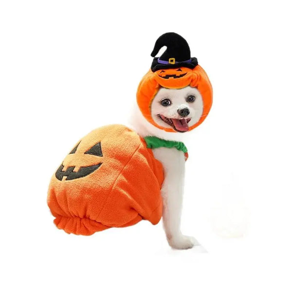 Halloween Costumes Pumpkin Cute Small Dogs Pet - DreammyDoggie