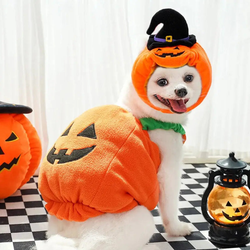 Halloween Costumes Pumpkin Cute Small Dogs Pet - DreammyDoggie