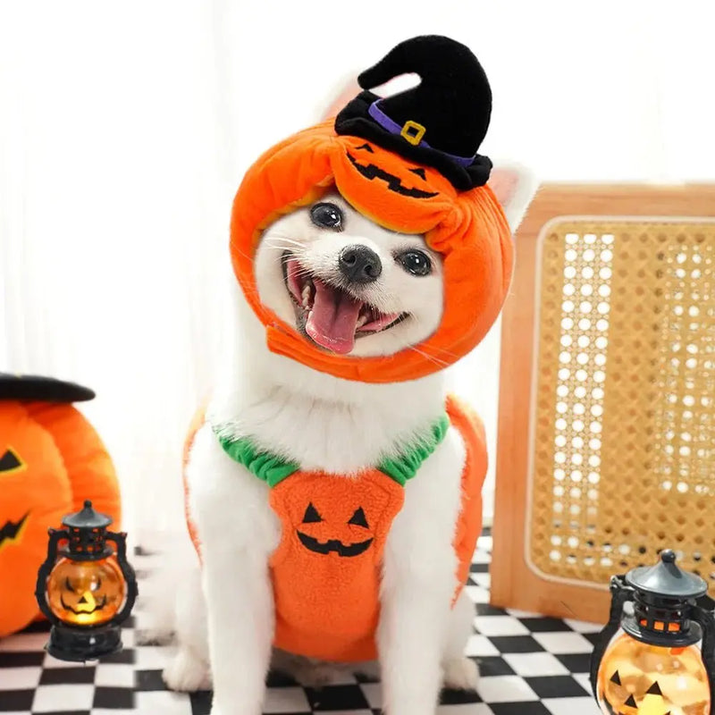 Halloween Costumes Pumpkin Cute Small Dogs Pet - DreammyDoggie