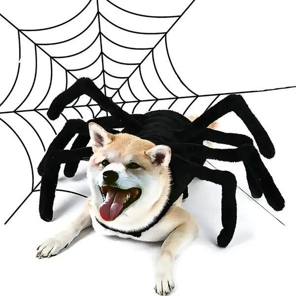 Halloween Dog Costume Funny Spider - DreammyDoggie