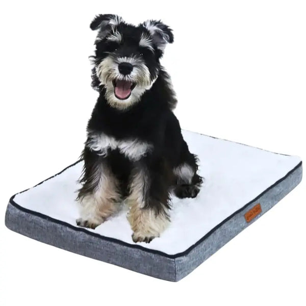 Memory Orthopedic Waterproof Dog Bed - DreammyDoggie