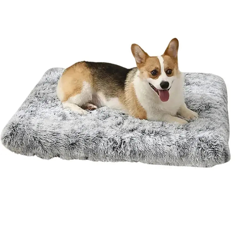 Orthopedic Dog Bed Comfort Supportive for Joint Relief - DreammyDoggie