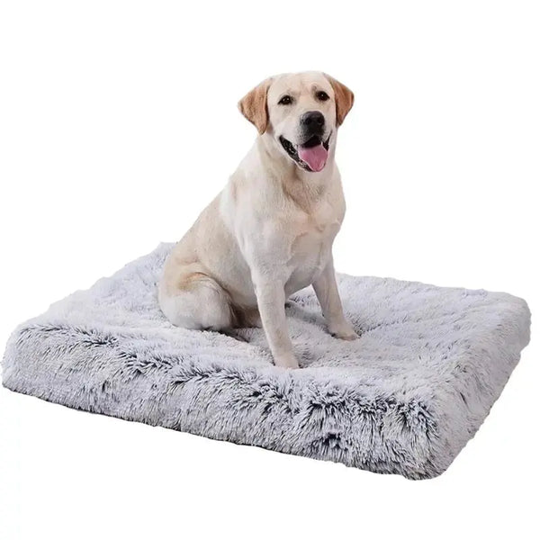 Orthopedic Dog Bed Comfort Supportive for Joint Relief - DreammyDoggie