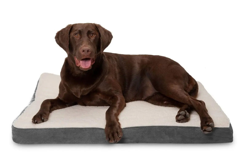 Orthopedic Memory Dog Bed Foam Pain Free - DreammyDoggie