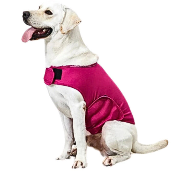 Reflective Anxiety Vest for Dogs - DreammyDoggie